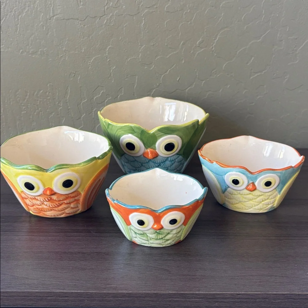 Pier 1 Imports‎ Ceramic Painted Nesting Owl Measuring Cup Set of 4